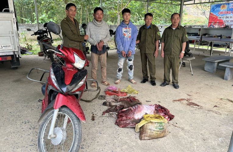 Công an xã Thanh Phong, Thanh Hóa điều tra tạm giữ 2 đối tượng trộm cắp trâu của người dân khi cọc trên đồi