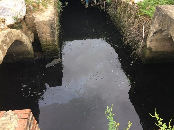 Xả thải trái phép, một công ty ở KCN Hòa Xá bị xử phạt 300 triệu đồng