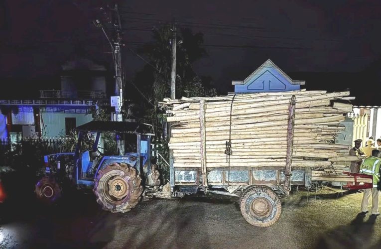 [VIDEO] Thương tâm mẹ đón 2 con gái đi học về thì gặp chuyện chẳng lành với chiếc máy cày chở gỗ