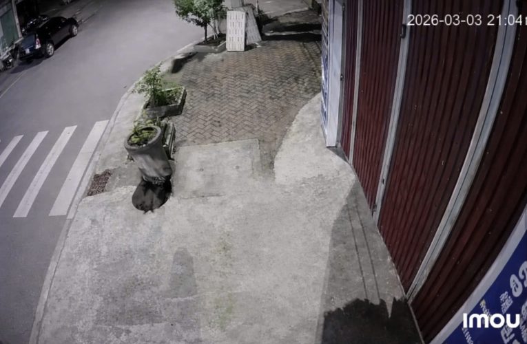 [VIDEO] Cam an ninh xác định nguyên nhân ban đầu vụ việc tại TDP Hoàn Dương – Phường Duy Tân